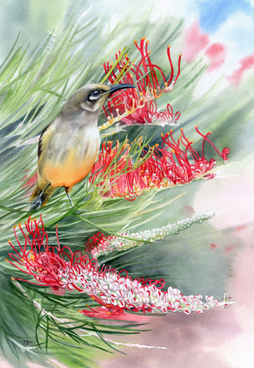 Brown Honeyeater and Grevillea | Original Artwork