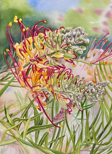 Grevillea Twist | Original Artwork