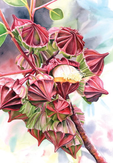 The King's Geometry (Eucalyptus Kingsmillii) | Original Artwork