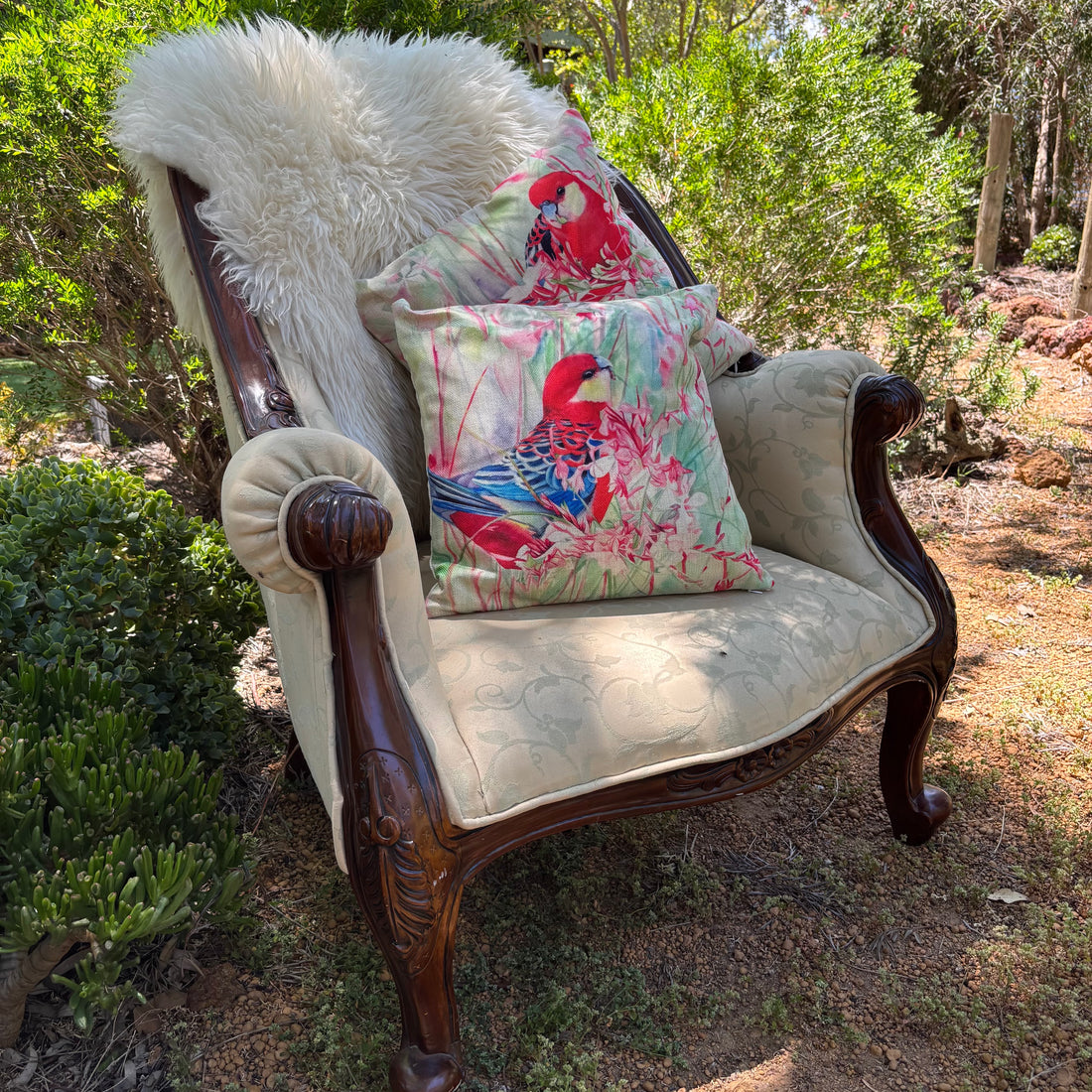 Western Rosella (Top) Cushion Cover