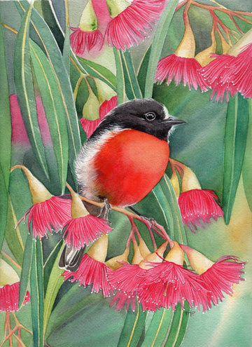 Scarlet Robin and Pink Flowering Gum | Original Artwork