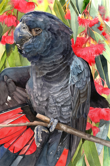 The Red Flash | Original Artwork