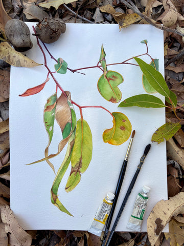 Un-Be-Leaf-Able Botanical Watercolour Workshop