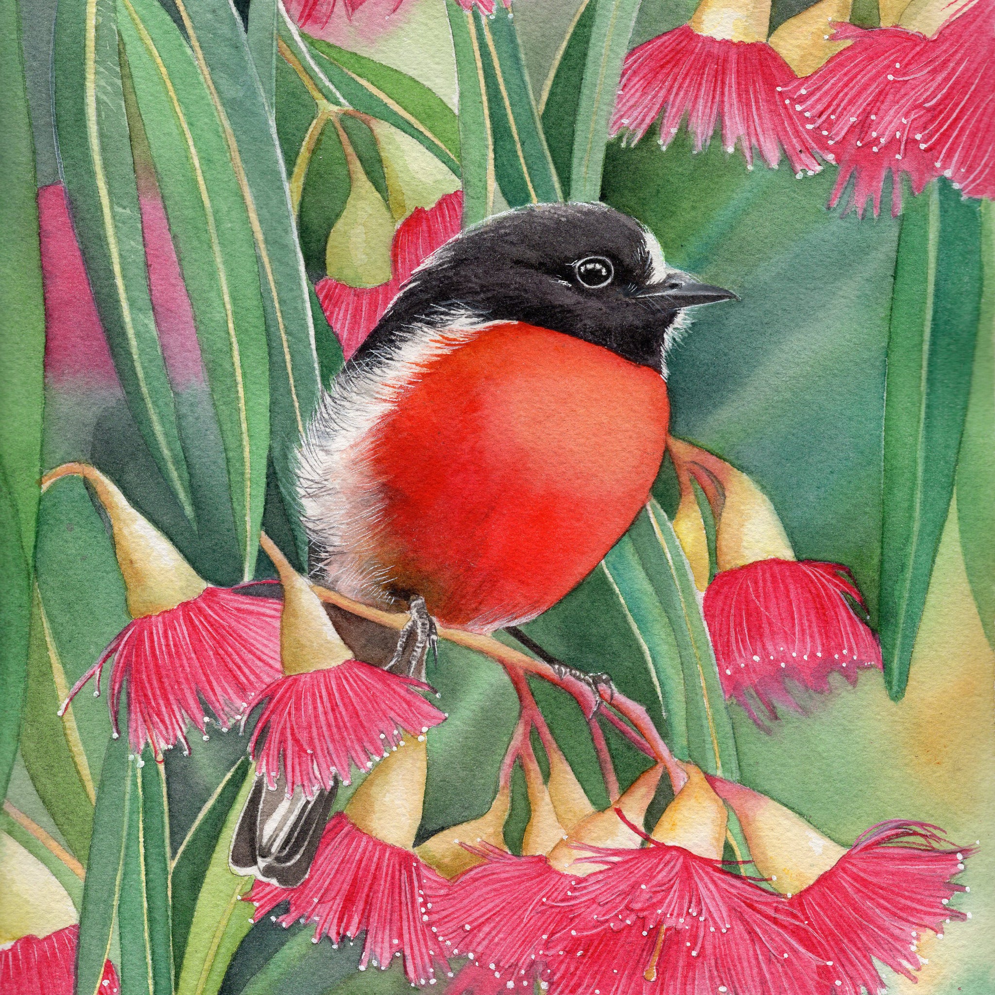 Scarlet Robin and Pink Flowering Gum | Original Artwork