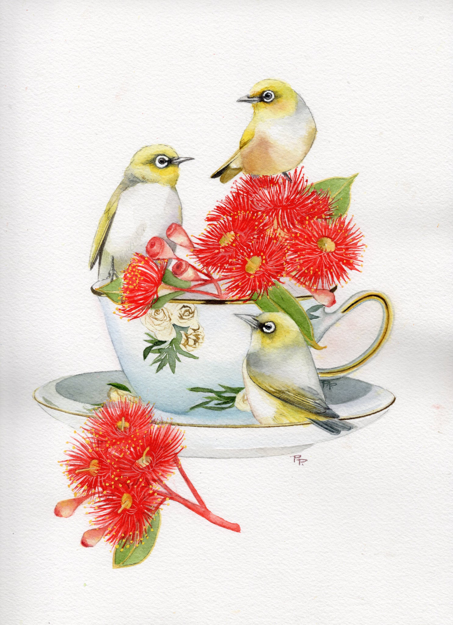 Silvereyes & Red Flowering Gum Teacup | Original Artwork